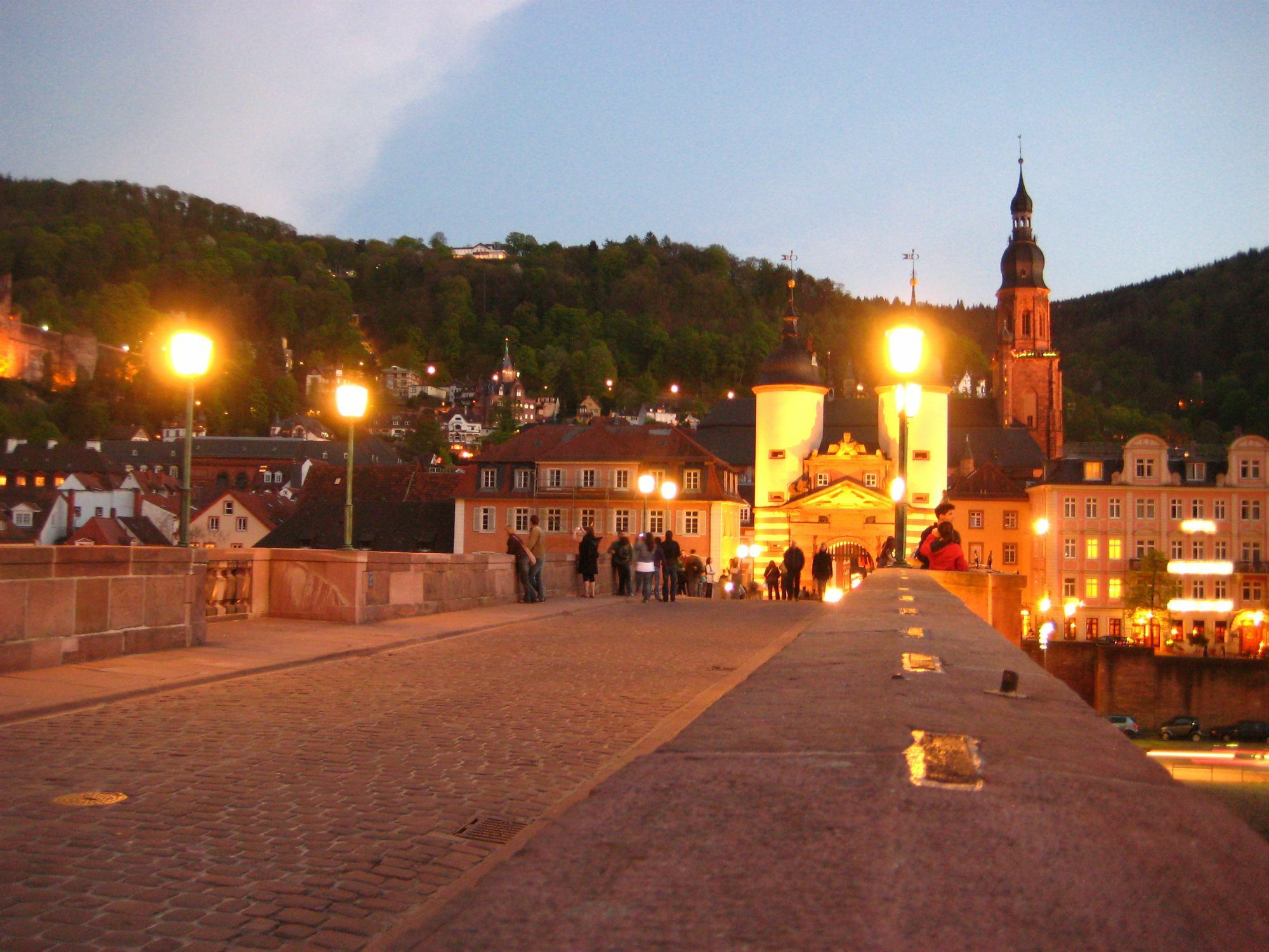 Wohlfuehl-Hotel Neu Heidelberg Dış mekan fotoğraf